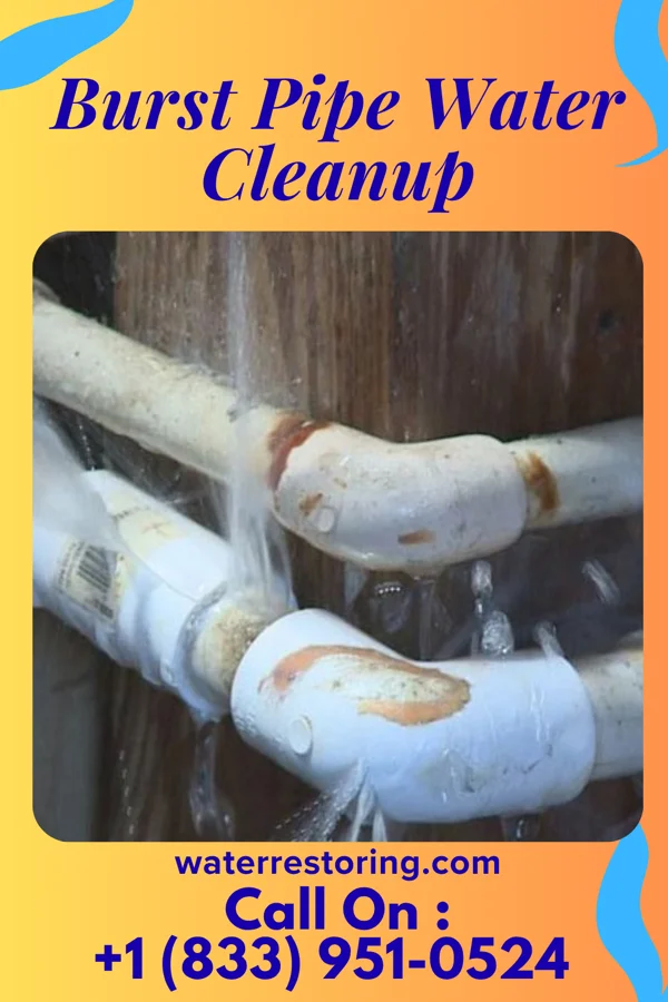 Burst Pipe Water Cleanup in Mount Sterling, KY