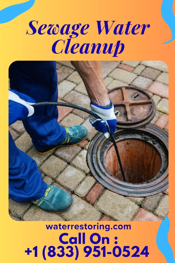 Sewage Water Cleanup in Mount Sterling, KY